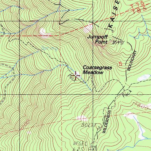 Topographic Map of Coarsegrass Meadow, CA