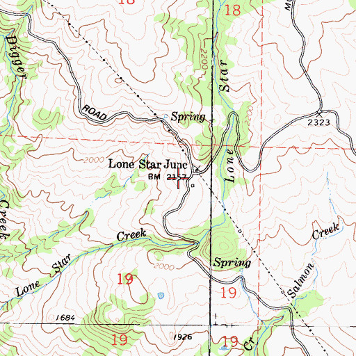 Topographic Map of Lone Star Junction, CA