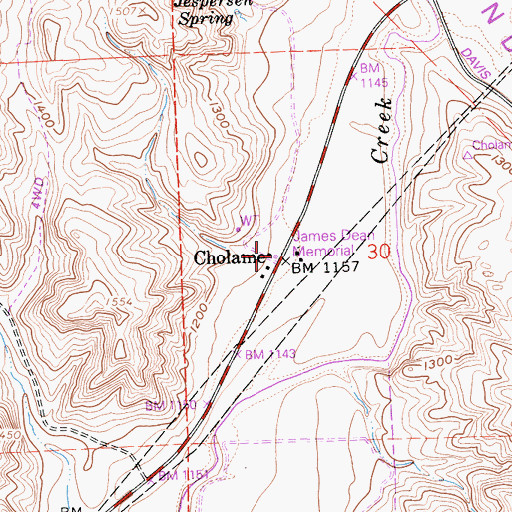 Topographic Map of Cholame, CA