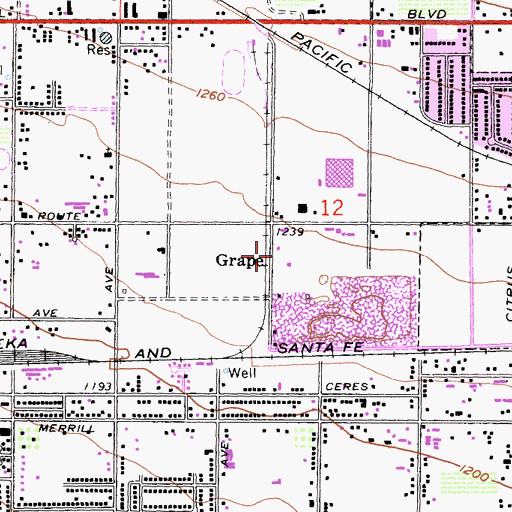 Topographic Map of Grape, CA