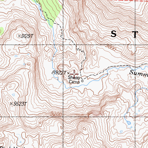 Topographic Map of Sheep Camp, CA