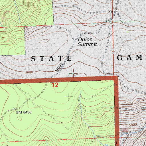 Topographic Map of Onion Summit, CA