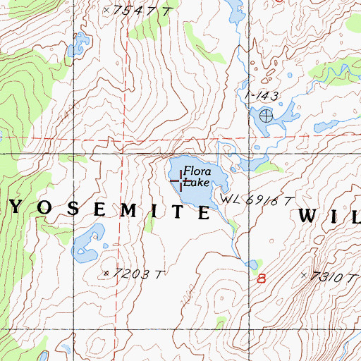 Topographic Map of Flora Lake, CA