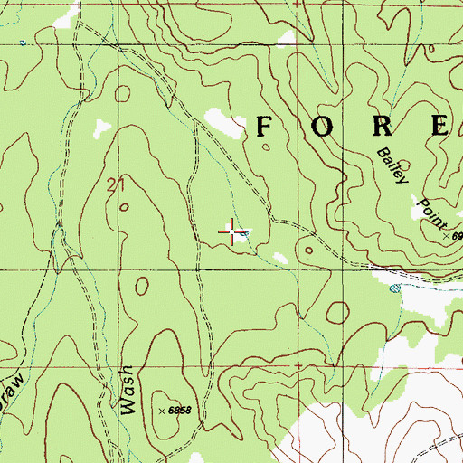 Topographic Map of Bailey Tank, AZ