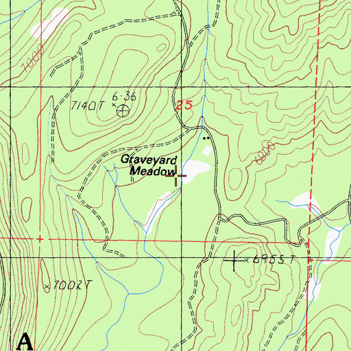 Topographic Map of Graveyard Meadow, CA