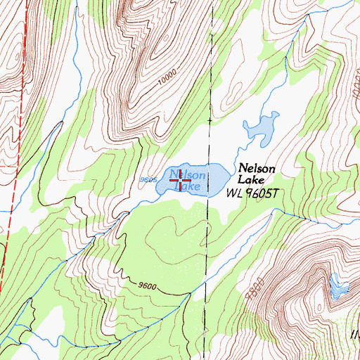 Topographic Map of Nelson Lake, CA