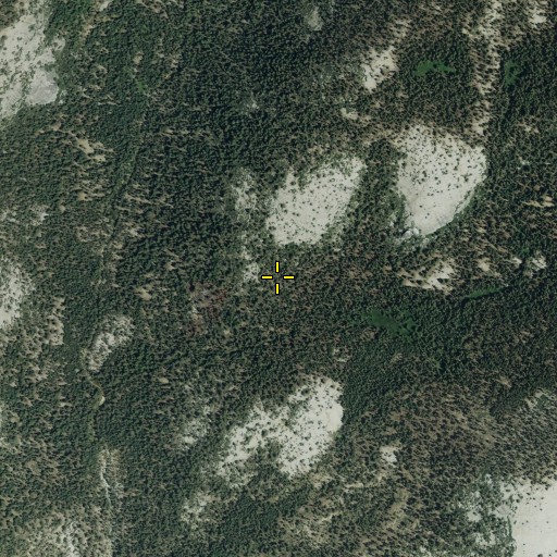 Aerial/Satellite Image of Tenaya Lake and Tuolumne Meadows Trail (historical), CA