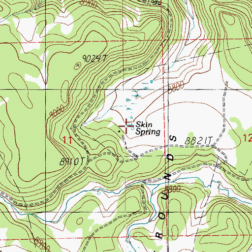 Topographic Map of Skin Spring Tank, AZ