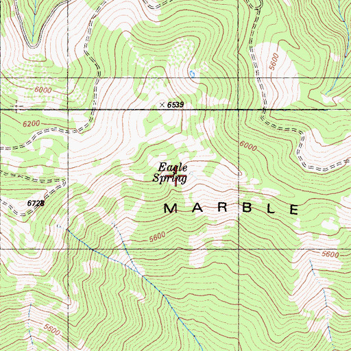 Topographic Map of Eagle Spring, CA