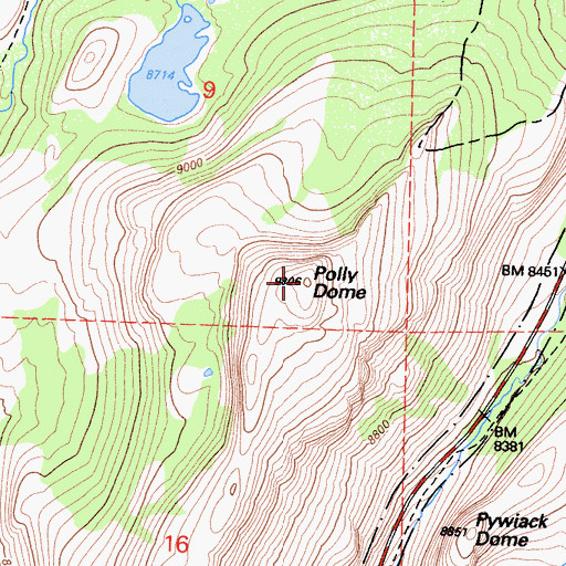 Topographic Map of Polly Dome, CA