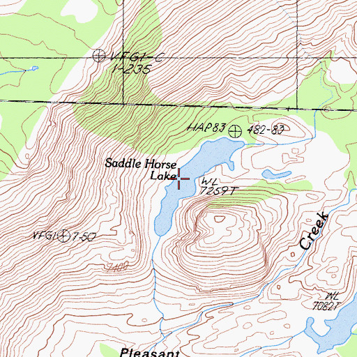 Topographic Map of Saddle Horse Lake, CA