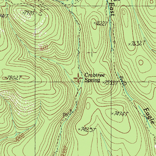 Topographic Map of Crabtree Spring, AZ