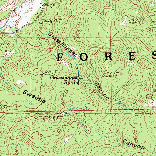 Topographic Map of Grasshopper Spring, AZ