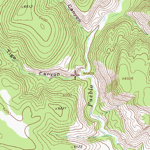 Topographic Map of Tige Canyon, NM