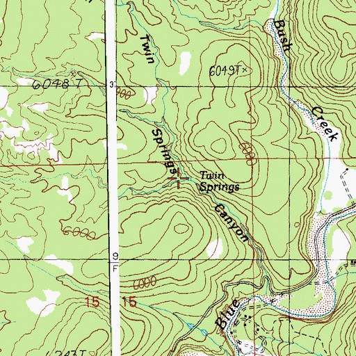 Topographic Map of Twin Springs, AZ
