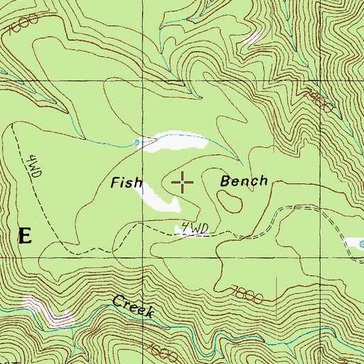 Topographic Map of Fish Bench, AZ