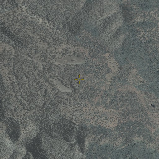 Aerial/Satellite Image of Fish Bench, AZ