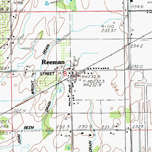 Topographic Map of Reeman Station (historical), MI