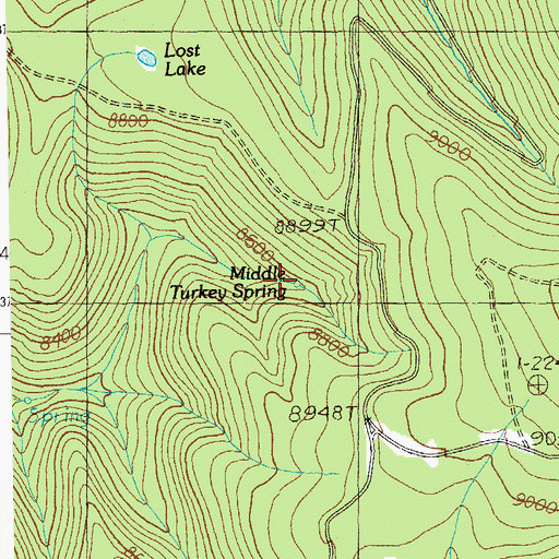 Topographic Map of Middle Turkey Spring, AZ