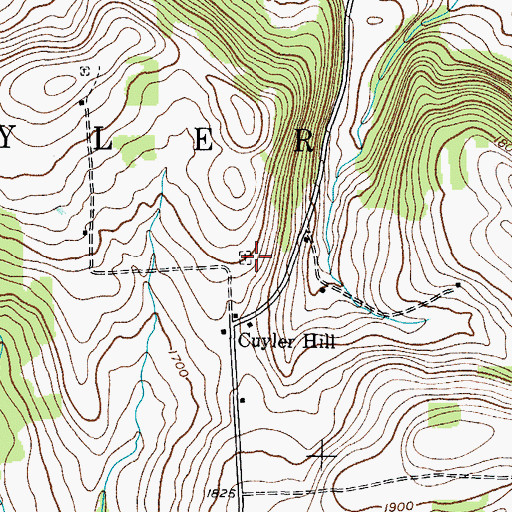 Topographic Map of Cuyler Hill Cemetery, NY
