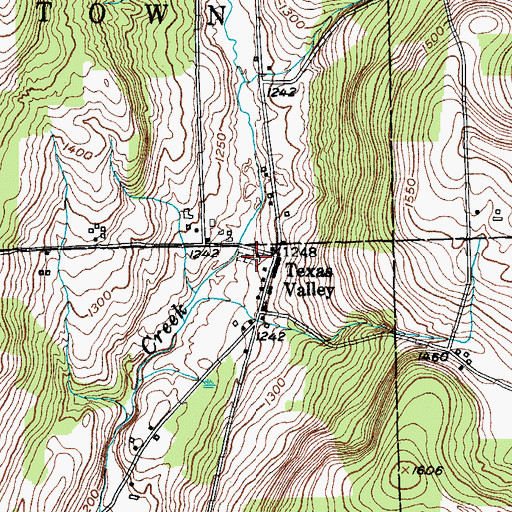 Topographic Map of Texas Valley Cemetery, NY