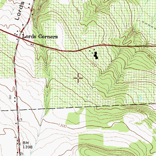 Topographic Map of Beak And Skiff Apple Farms, NY