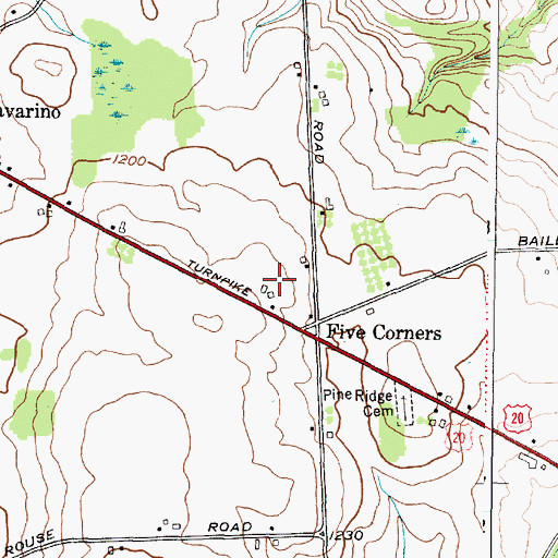 Topographic Map of Navarino Orchard, NY