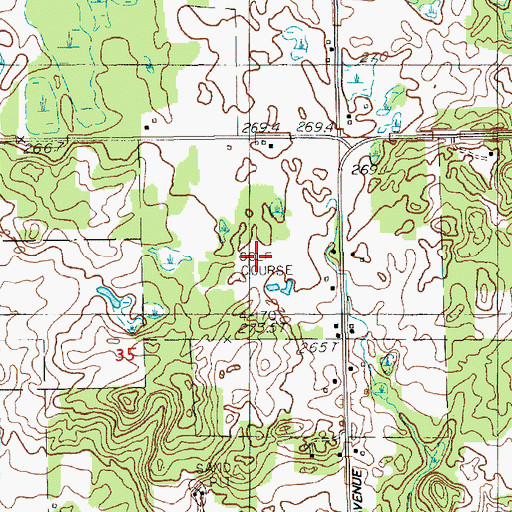 Topographic Map of Briar Hill Golf Course, MI