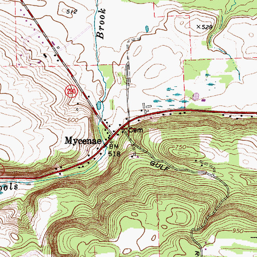Topographic Map of Mycenae Burial Ground, NY