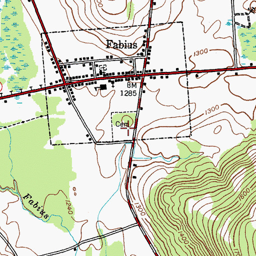 Topographic Map of Fabius Evergreen Cemetery, NY