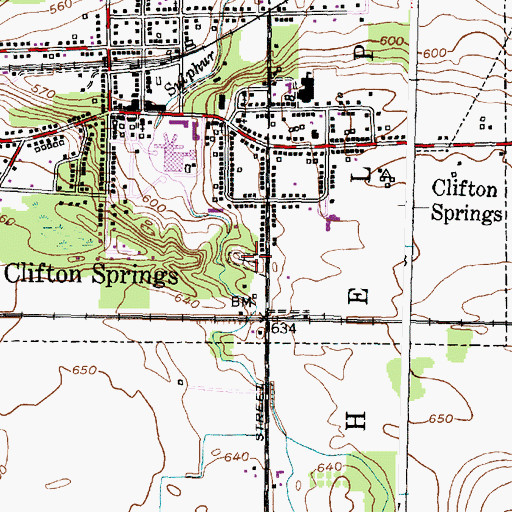 Topographic Map of Clifton Springs Cemetery, NY