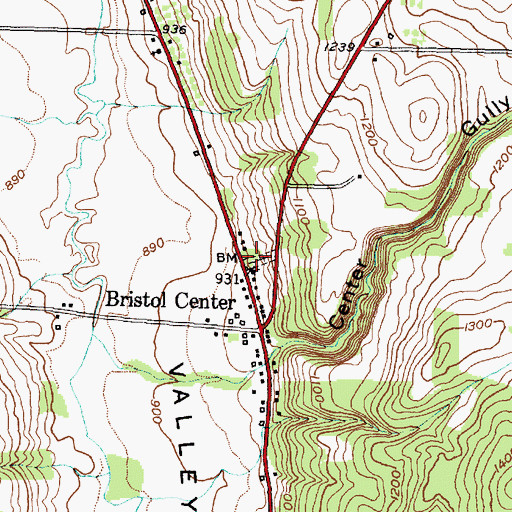 Topographic Map of Bristol Center Cemetery, NY