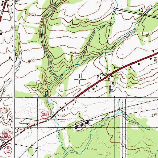 Topographic Map of Ransoms Tree Farm, NY