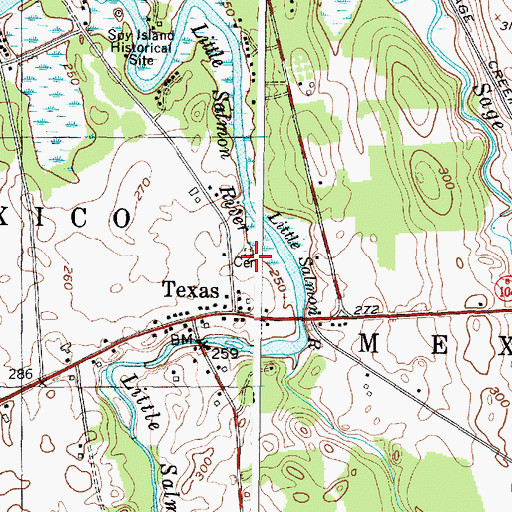 Topographic Map of Parker Ramsey Stevens Cemetery, NY
