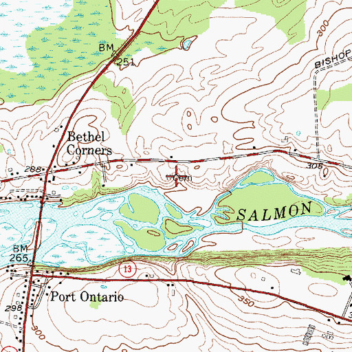 Topographic Map of Brown's Landing Cemetery, NY