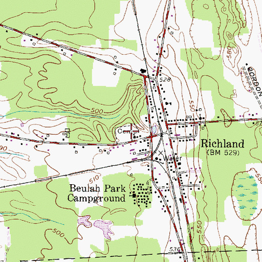 Topographic Map of Richland Village Cemetery, NY