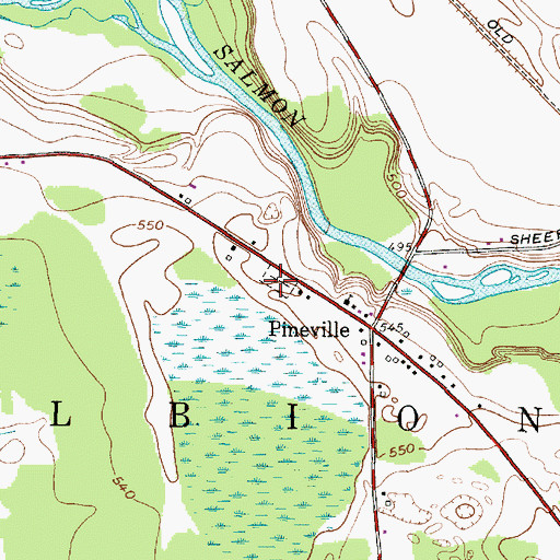 Topographic Map of Salmon River Cemetery, NY