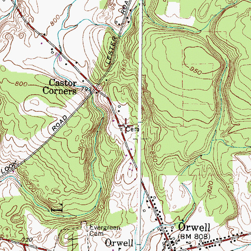 Topographic Map of Castor Cemetery, NY