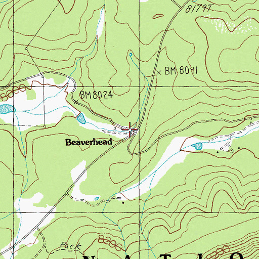 Topographic Map of Beaverhead, AZ