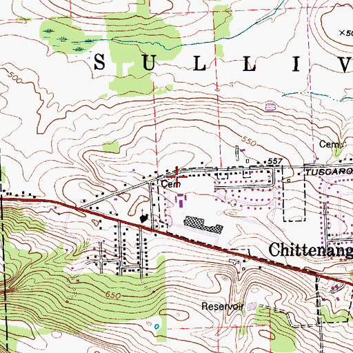 Topographic Map of Anguish Family Cemetery, NY