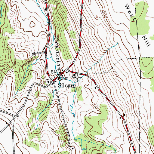Topographic Map of Siloam Cemetery, NY