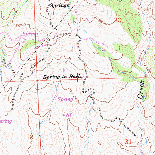 Topographic Map of Spring in Bush, CA