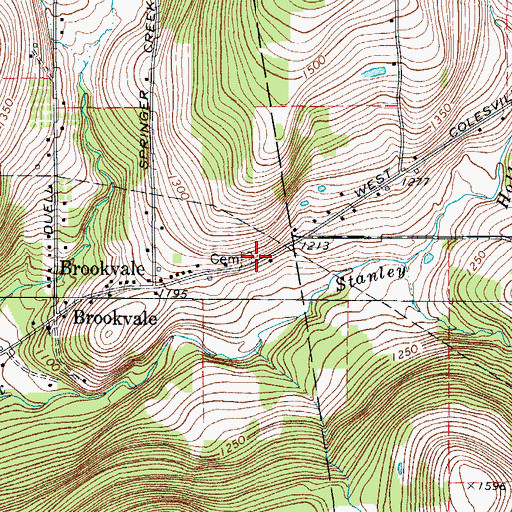 Topographic Map of Brookvale Cemetery, NY