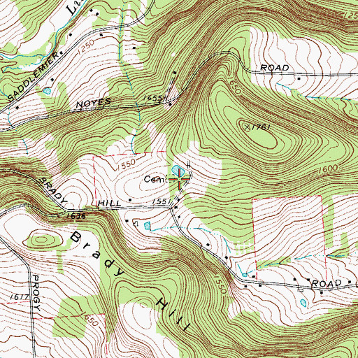 Topographic Map of Brady Hill Cemetery, NY