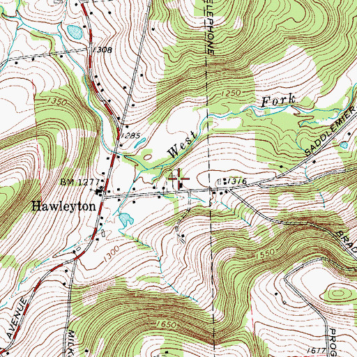 Topographic Map of Hawleyton Cemetery, NY