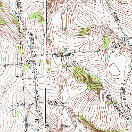 Topographic Map of Levee Family Cemetery, NY