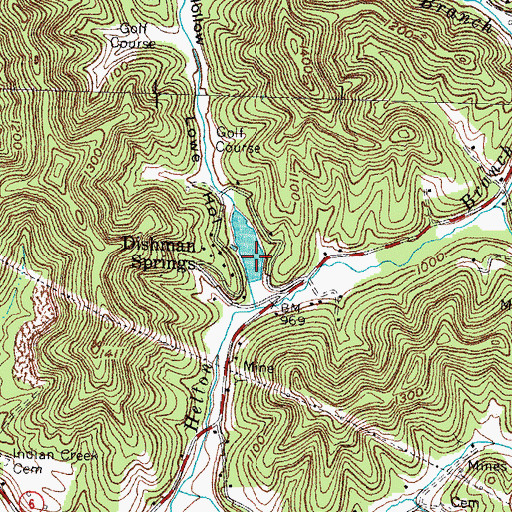 Topographic Map of Dishman Springs Lake, KY