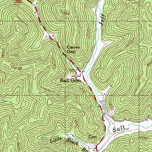 Topographic Map of Salt Gum Post Office (historical), KY