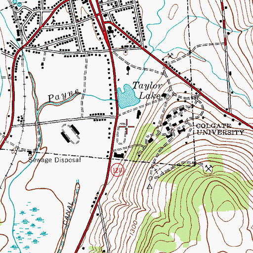 Topographic Map of Whitnall Field, NY