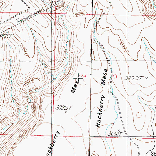 Topographic Map of Hackberry Mesa, AZ